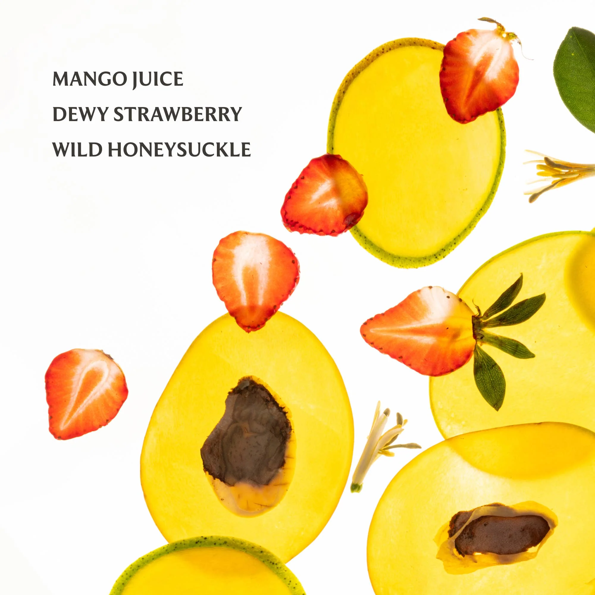 TOUCHLAND - Mango Mojo Power Essence Body & Hair Fragrance Mist - Image 3