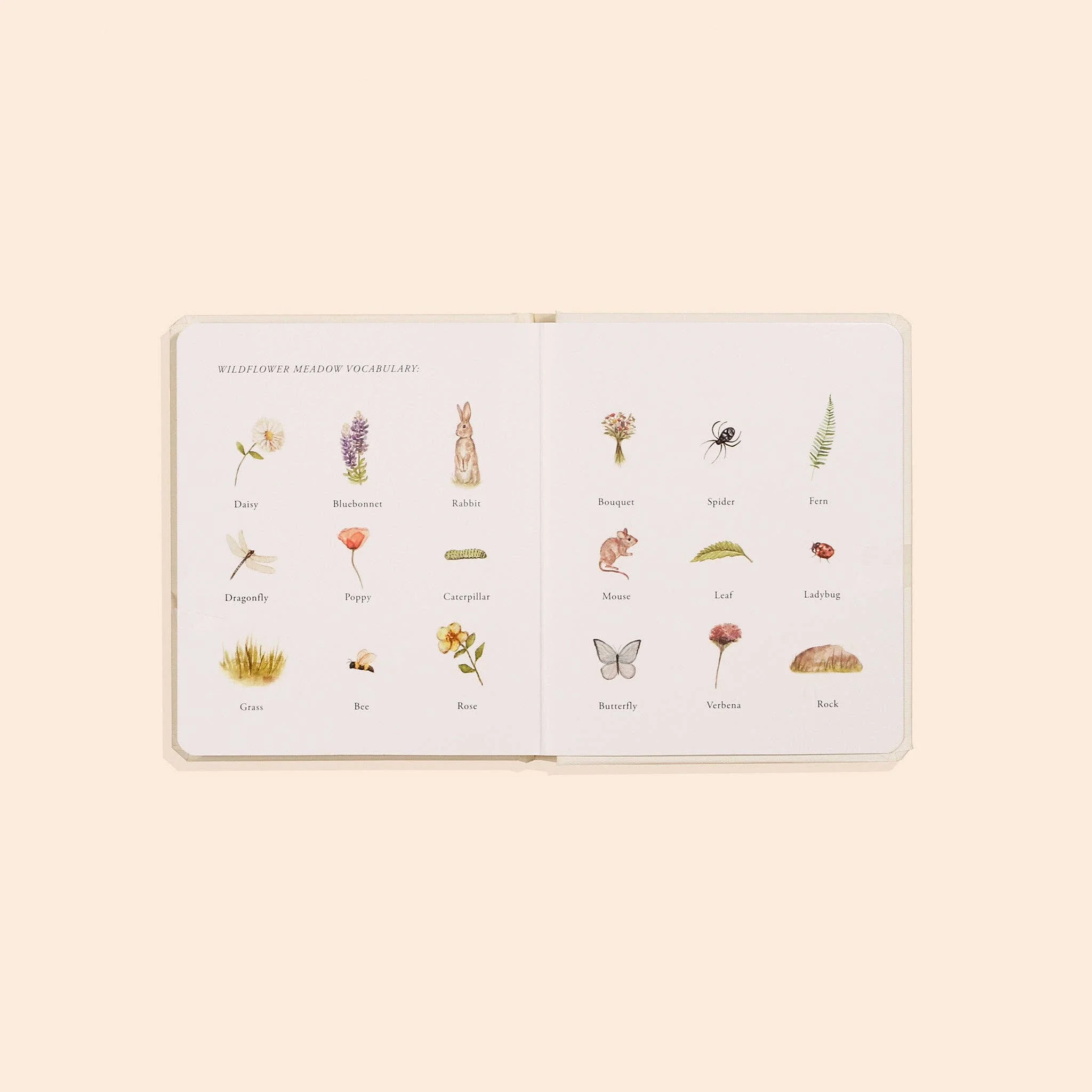 Our Little Adventures Box Set for Kids - Image 5